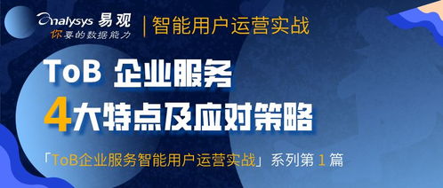 tob企業服務的典型特點及應對策略 免費下載