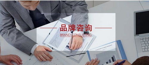 一流企業都在做品牌咨詢 企業 外腦 為何如此重要