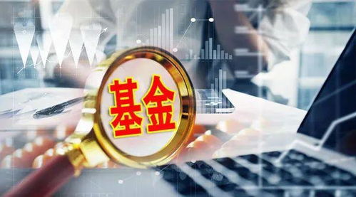 基金管理人能否開(kāi)展財(cái)務(wù)顧問(wèn)服務(wù)