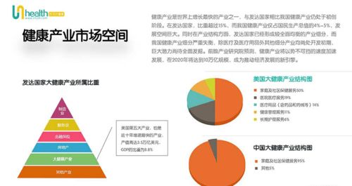 成馬大健康網 大健康產業分析報告2020