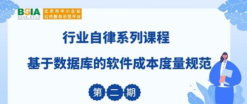 基于數據庫的軟件成本度量規范