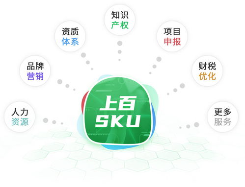 同行樹 專業(yè)把脈數(shù)字化轉(zhuǎn)型,打造企業(yè)高效經(jīng)營(yíng)快車道