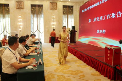 湖北省企業(yè)管理咨詢服務(wù)協(xié)會(huì)換屆會(huì)議圓滿舉行 程鵬當(dāng)選為會(huì)長(zhǎng)