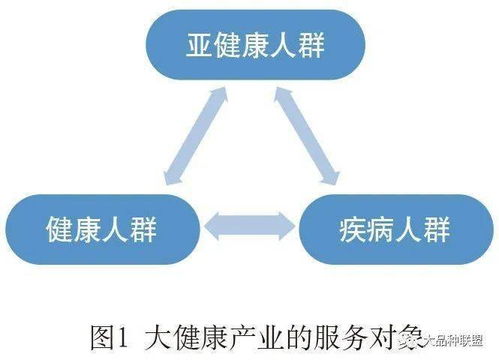 我國大健康產業的發展現狀及推進建議
